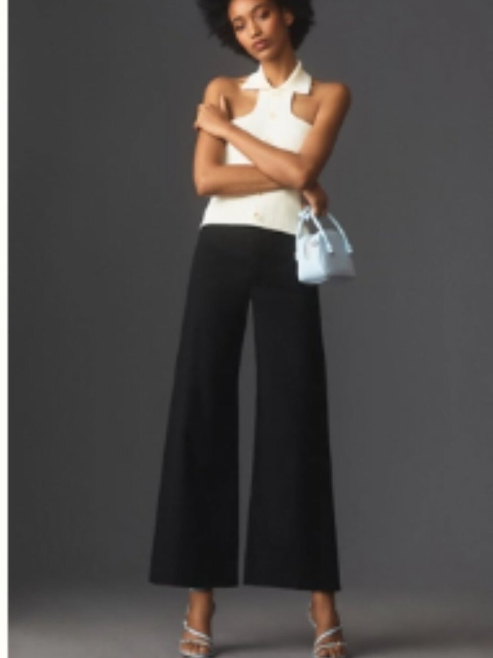 NWT - Black Anthro Ettie High-Rise Crop Wide-Leg Pants by Maeve, size 26